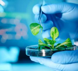 空間生物技術 空間生物技術