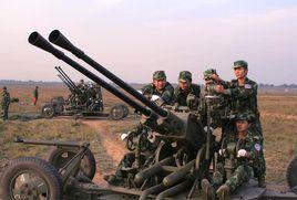 65式37毫米雙管高射炮 65式37毫米雙管高射炮