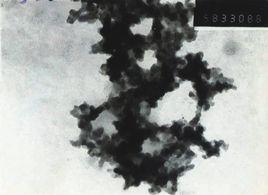 納米甲殼質 納米甲殼質