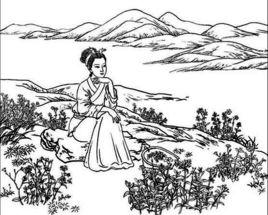 國風·周南·卷耳 國風·周南·卷耳