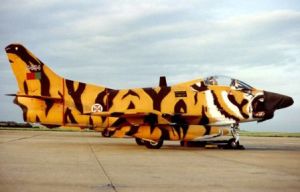 老虎塗裝的的菲亞特G.91R。
