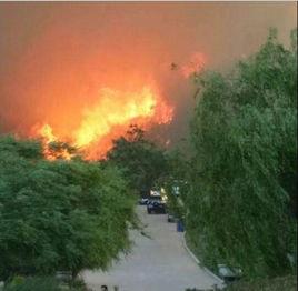 5·29山東威海森林火災事件 5·29山東威海森林火災事件