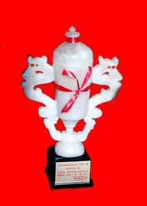 （圖）江河源杯