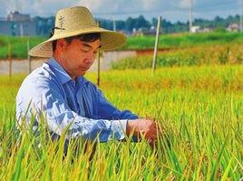 李開斌[楚雄州農科所水稻研究室主任]