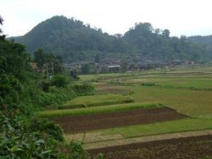 三龍中寨自然村 三龍中寨自然村