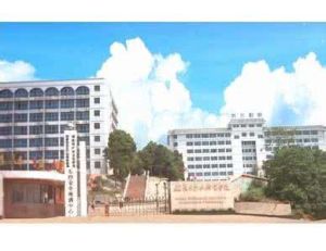 洛陽金基礦山安全技術研究院 洛陽金基礦山安全技術研究院