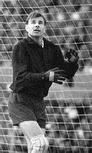 列夫&middot;雅辛