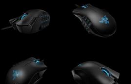 那伽梵蛇 那伽梵蛇