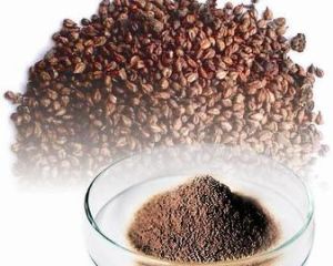 葡萄籽提取物 葡萄籽提取物