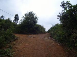 老菜寨自然村 老菜寨自然村