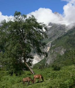 卡瓦百慶鄉 卡瓦百慶鄉