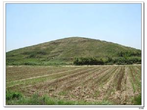 （圖）長陵近景（注意封土上的塌陷坑）
