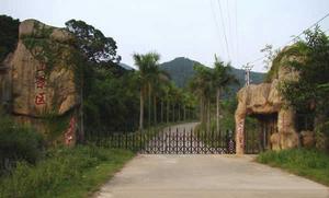 同安文山 同安文山