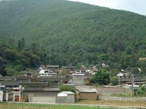 隆士下，中村自然村