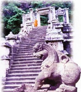 大楊山森林公園