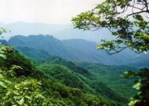 小秦嶺國家級自然保護區 小秦嶺國家級自然保護區