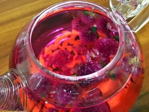 千日紅花茶