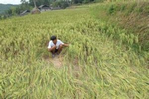 洑水灣鄉 洑水灣鄉