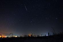 Leo[獅子座英文縮寫]