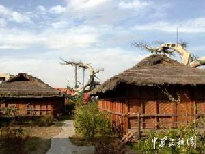 獨龍語屬漢藏語系藏緬語族