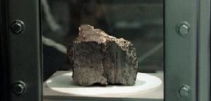含有簡單生命形式跡象的ALH84001號火星隕石