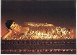 迦毗羅衛 迦毗羅衛