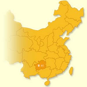 大洞文化 大洞文化