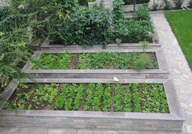 庭院綠化 庭院綠化