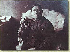 安德烈耶娃 安德烈耶娃