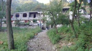 廟灣自然村 廟灣自然村