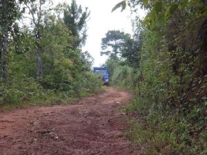 山茶樹自然村 山茶樹自然村