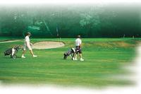 公共球場 公共球場