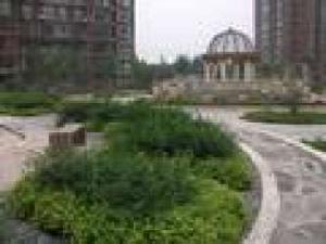 第一城C組團 第一城C組團