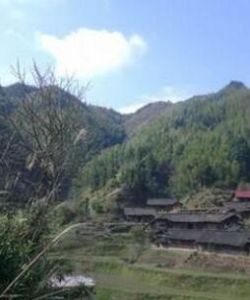 金包坪村 金包坪村