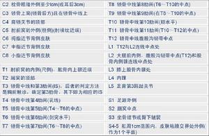 28對感覺關鍵點的解剖定位