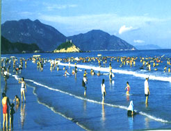 上川島飛沙灘旅遊中心 上川島飛沙灘旅遊中心