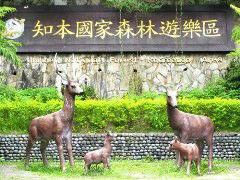 知本森林遊樂園