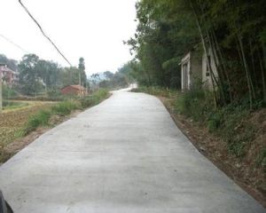 大路村 大路村
