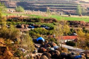 朱家園村 朱家園村