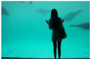 水恐怖症 水恐怖症