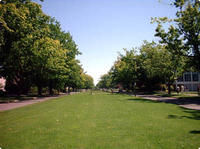 不列顛哥倫比亞開放大學