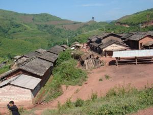 兩棵樹自然村 兩棵樹自然村
