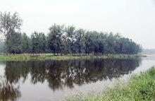 龍固鎮[江蘇省沛縣龍固鎮]