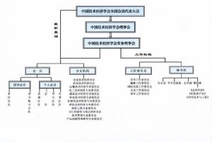 組織機構示意圖