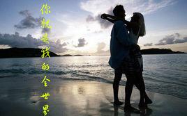 你就是我的全世界 你就是我的全世界