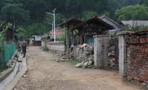 林子頭村 林子頭村