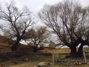 海原古道 海原古道