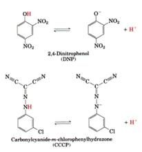 解偶聯劑 解偶聯劑