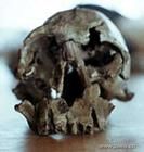 阿瓦什舊石器時代遺址 阿瓦什舊石器時代遺址