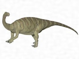 許氏祿豐龍 許氏祿豐龍